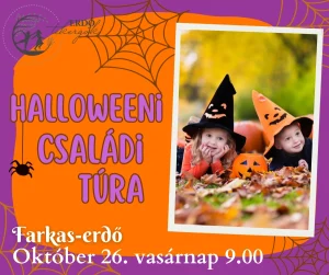 Halloweeni Családi túra – Farkas-erdő ( 2025. Október 26. 9.00 )