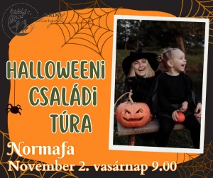 Halloweeni Családi túra – Normafa ( 2025. November 2. 9.00 )