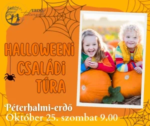 BETELT! - Halloweeni Családi túra - Péterhalmi-erdő ( 2025. Október 25. 9.00 )