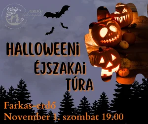 Halloweeni Éjszakai túra – Farkas-erdő ( 2025. November 1. 19.00 )