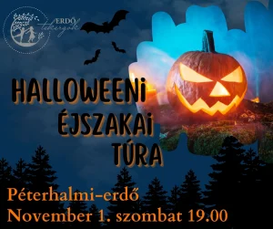 Halloweeni Éjszakai túra – Péterhalmi-erdő ( 2025. November 1. 19.00 )