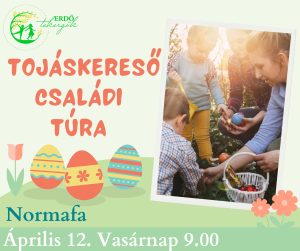 Tojáskereső Családi túra – Normafa (2026. Április 12. 9.00)