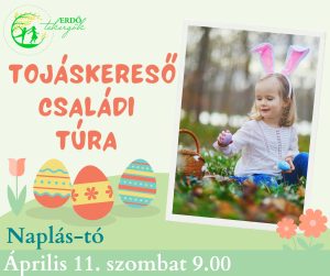Tojáskereső Családi túra – Naplás-tó (2026. Április 11. 9.00)
