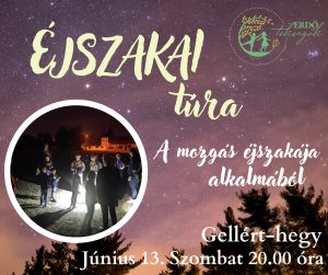 Éjszakai túra - A mozgás éjszakája – Gellért-hegy ( 2026. Június 13.)