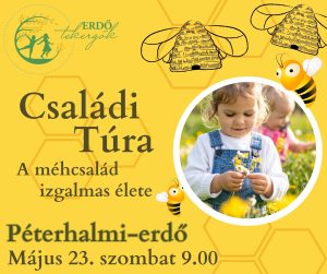 Méhes Családi túra – Péterhalmi-erdő (2026. Május 23. 9.00)