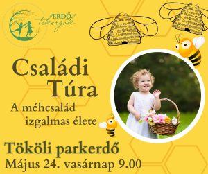Méhes Családi túra – Tököli parkerdő (2026. Május 24. 9.00)