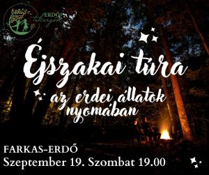 Éjszakai túra - Az erdei állatok nyomában – Farkas-erdő ( 2026. Szeptember 19.)