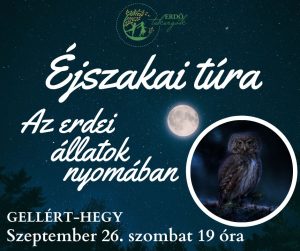 Éjszakai túra - Az erdei állatok nyomában – Gellért-hegy ( 2026. Szeptember 26.)